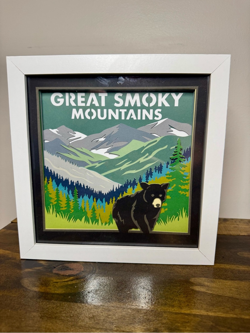 3D Great Smoky Mountains National Park Shadowbox